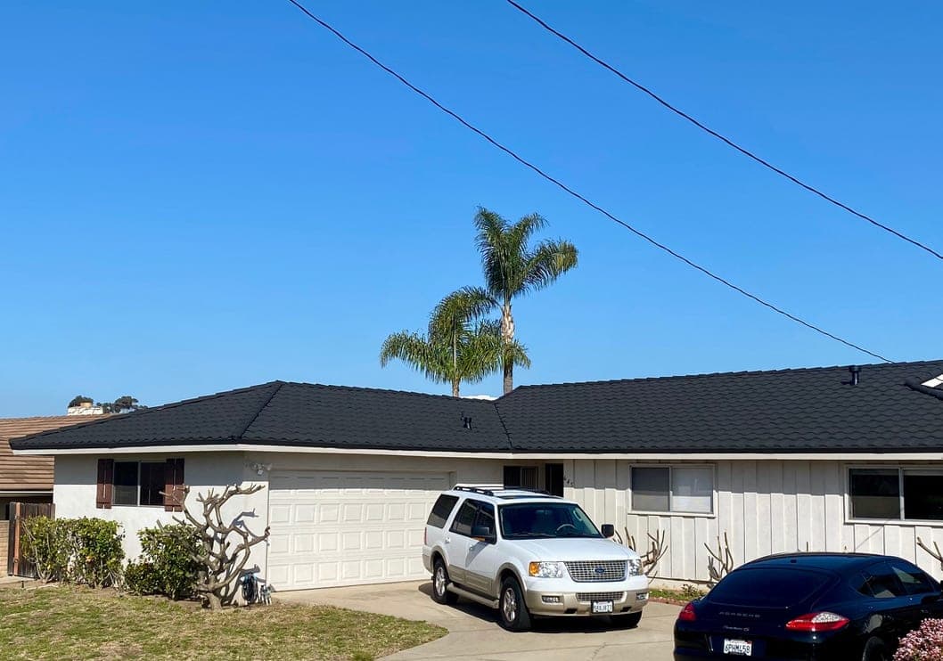A Vista home with a low-profile black metal tile roof and palm trees